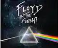 Floyd In The Flesh appearing at this event