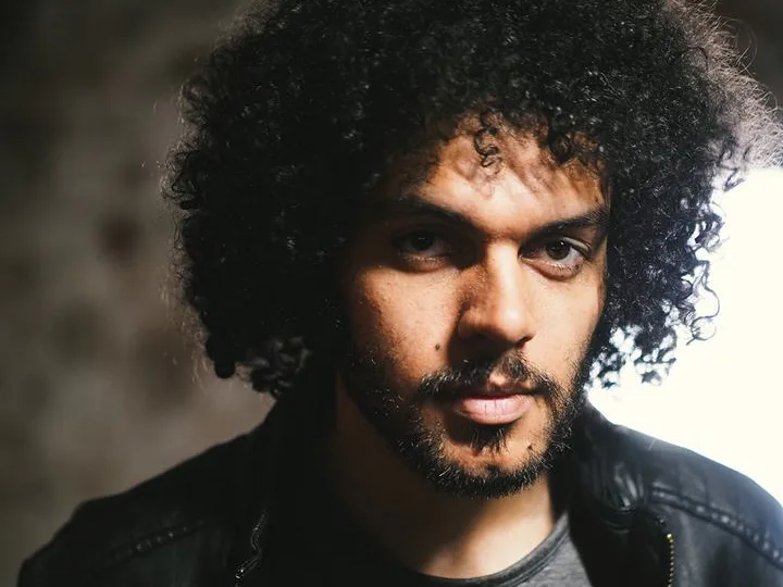 Picture of Brownbear