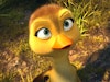 Duck Duck Goose