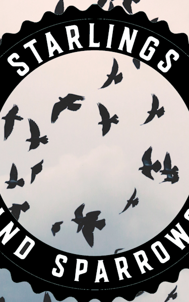 Starlings & Sparrows Tour Dates