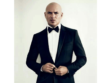 Pitbull artist photo