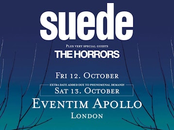 Suede, The Horrors picture