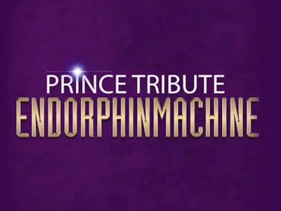 Picture of Prince Tribute EndorphinMachine