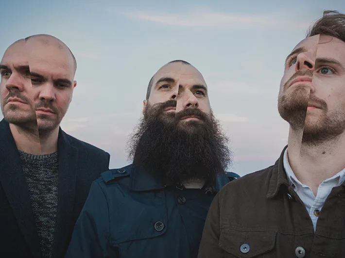 Picture of Arcane Roots