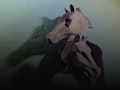 Gulliver Returns: Dawn State Theatre Company event picture