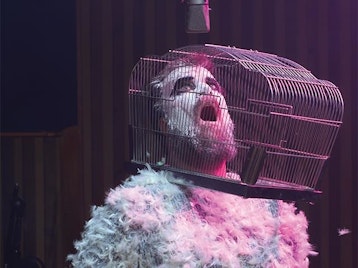 John Grant artist photo