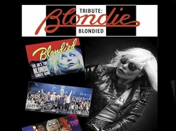 Blondied picture