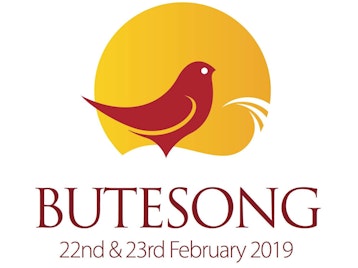 Butesong 2019: Nerina Pallot, JJ Gilmour, The Dunwells, Chris Difford, Boo Hewerdine, Jill Jackson picture