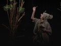 Knock Knock: Hot Coals Theatre event picture