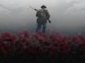 Michael Morpurgo's Private Peaceful: Scamp Theatre Company event picture