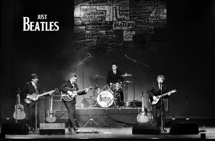 Picture of Just Beatles