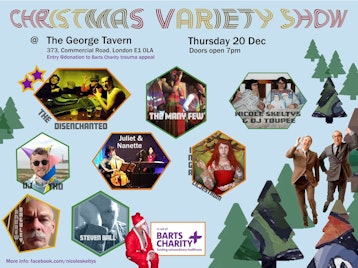 Christmas Variety Show: Nicole Skeltys and The Disenchanted, The Many Few picture