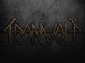 Ironvolt event picture