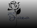Call Me Diana - A Showcase event picture