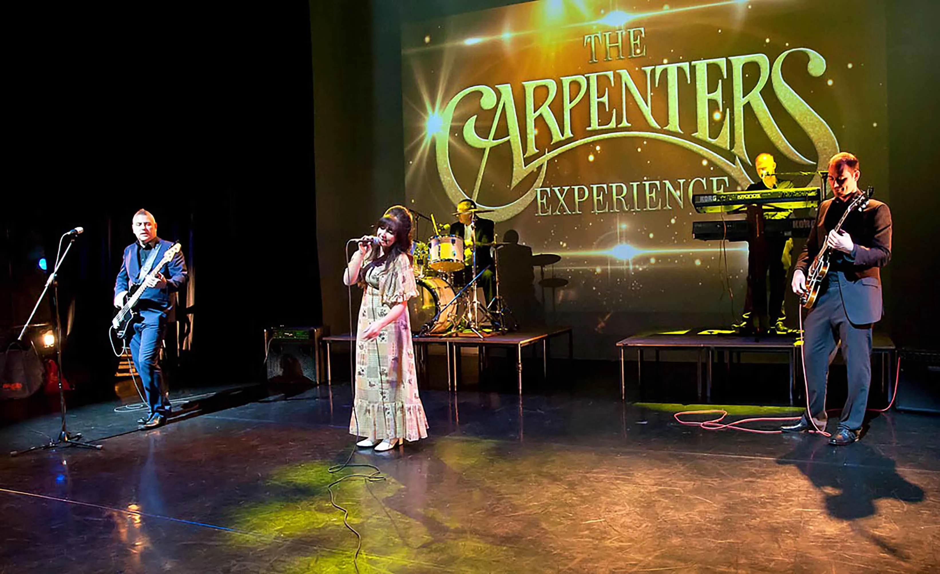 Picture of The Carpenters Experience