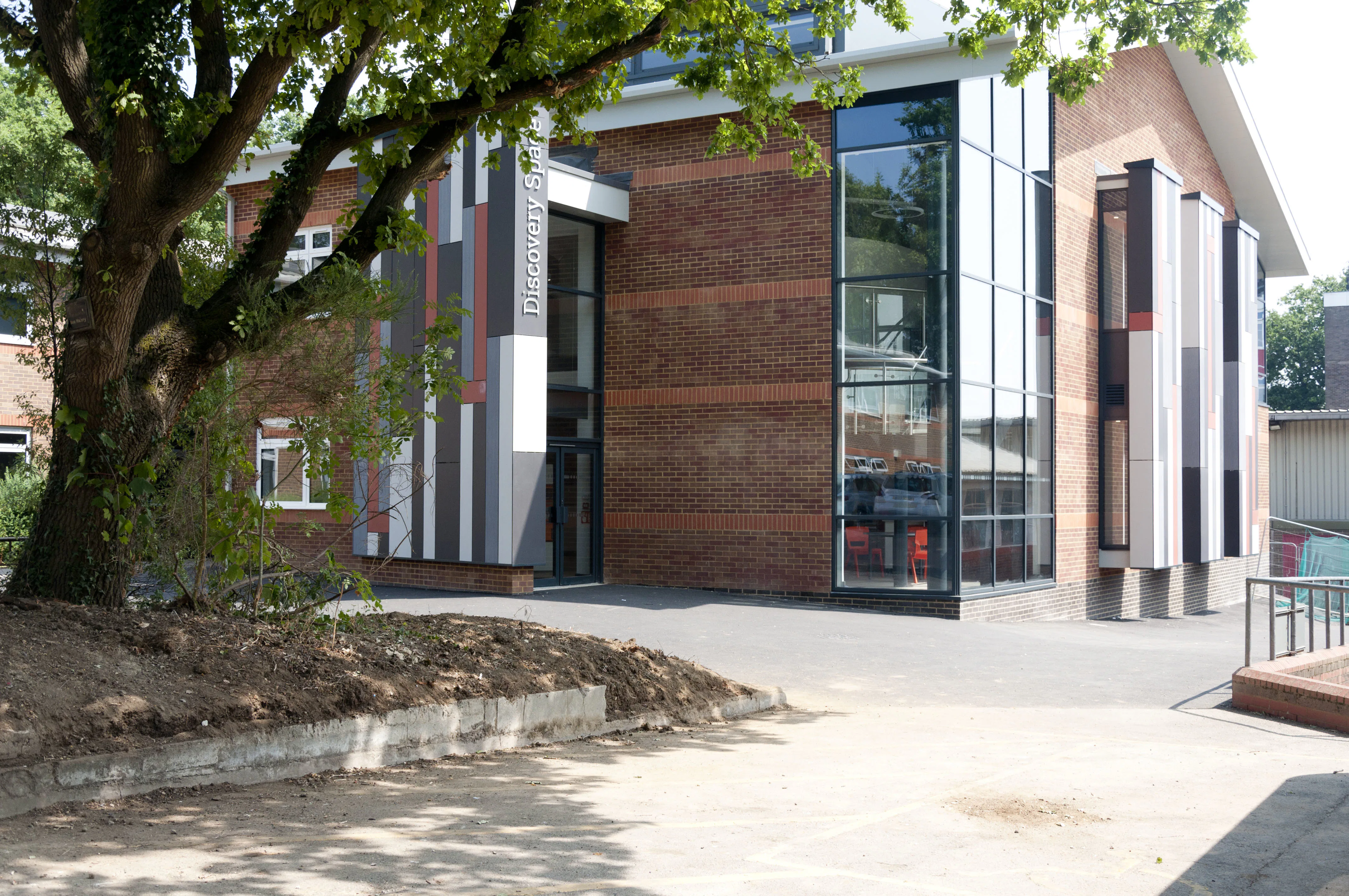 Picture of Stellar Safari