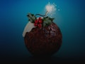 Season's Greetings event picture