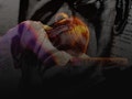 The Monster and Mary Shelley event picture