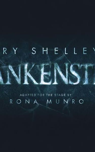 Frankenstein, Sell A Door Theatre Company