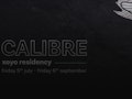 Calibre Residency event picture