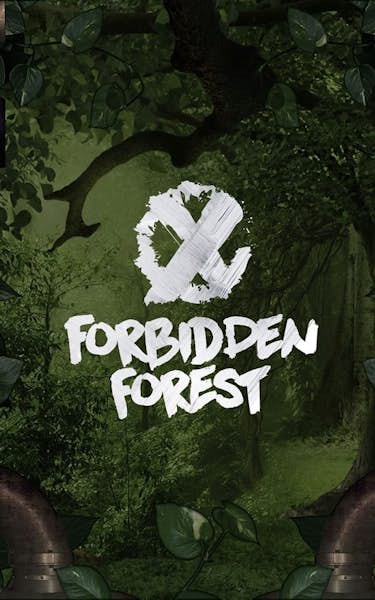 Forbidden Forest 2019