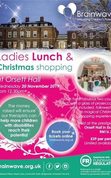 Ladies Lunch and Christmas Shopping for Brainwave