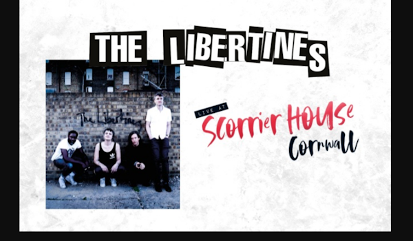 The Libertines 