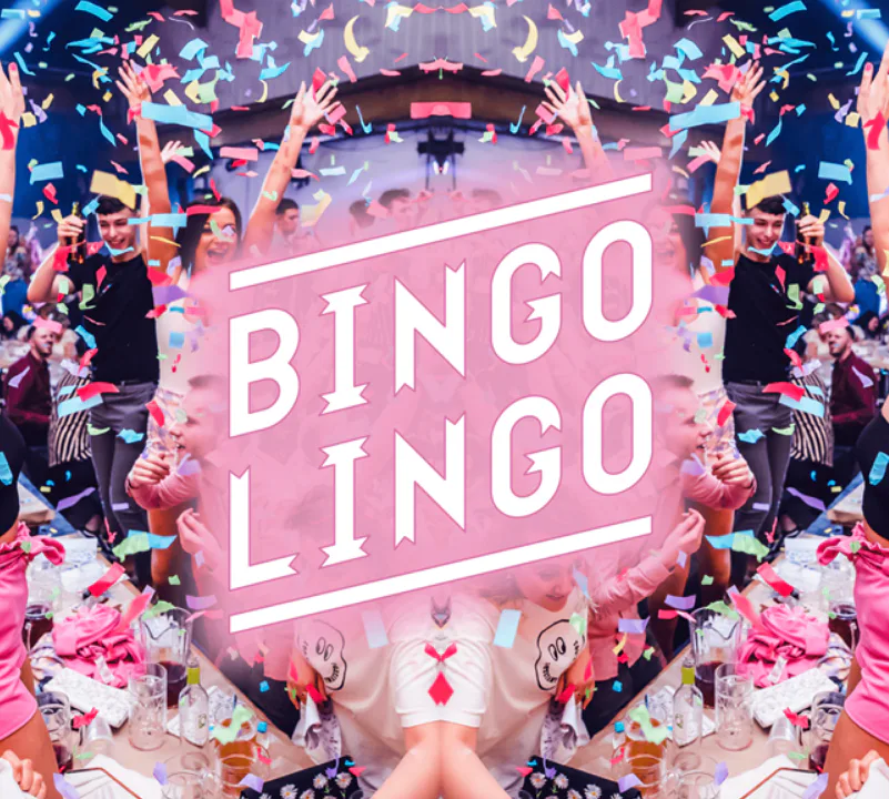 Picture of Bingo Lingo