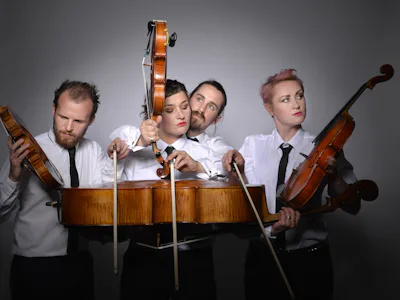 Picture of Bowjangles