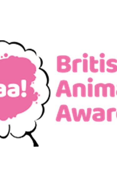 British Animation Awards Public Choice Award Screenings