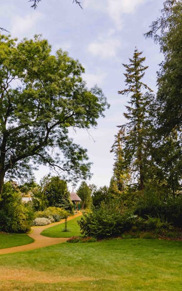 The Trees of the Swiss Garden
