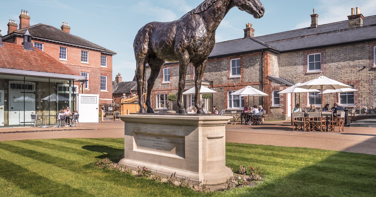 National Horse Racing Museum, Newmarket Events & Tickets 2024 Ents24