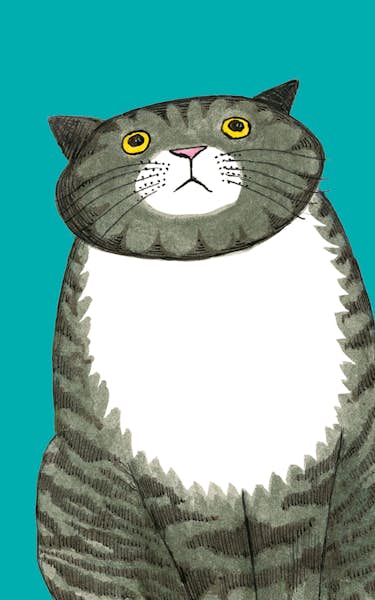 Mog The Forgetful Cat Tour Dates