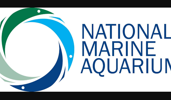 National Marine Aquarium Admission
