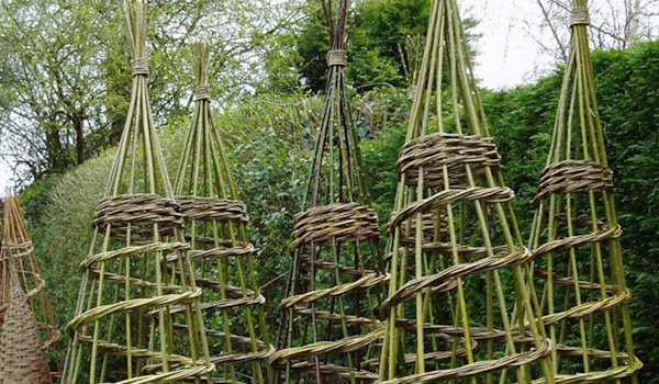 Willow Plant Support