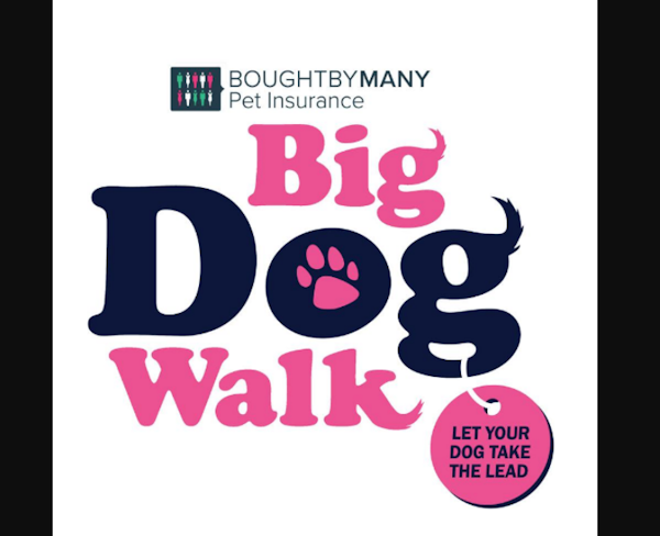 Big Dog Walk