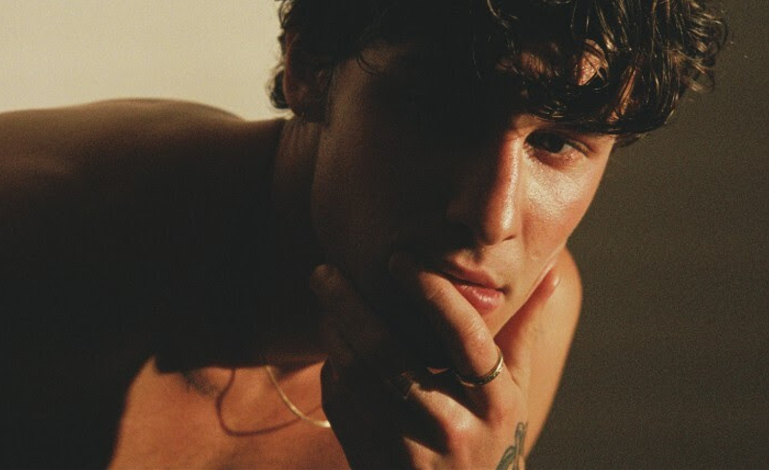 Shawn Mendes tour dates & tickets 2024 Ents24