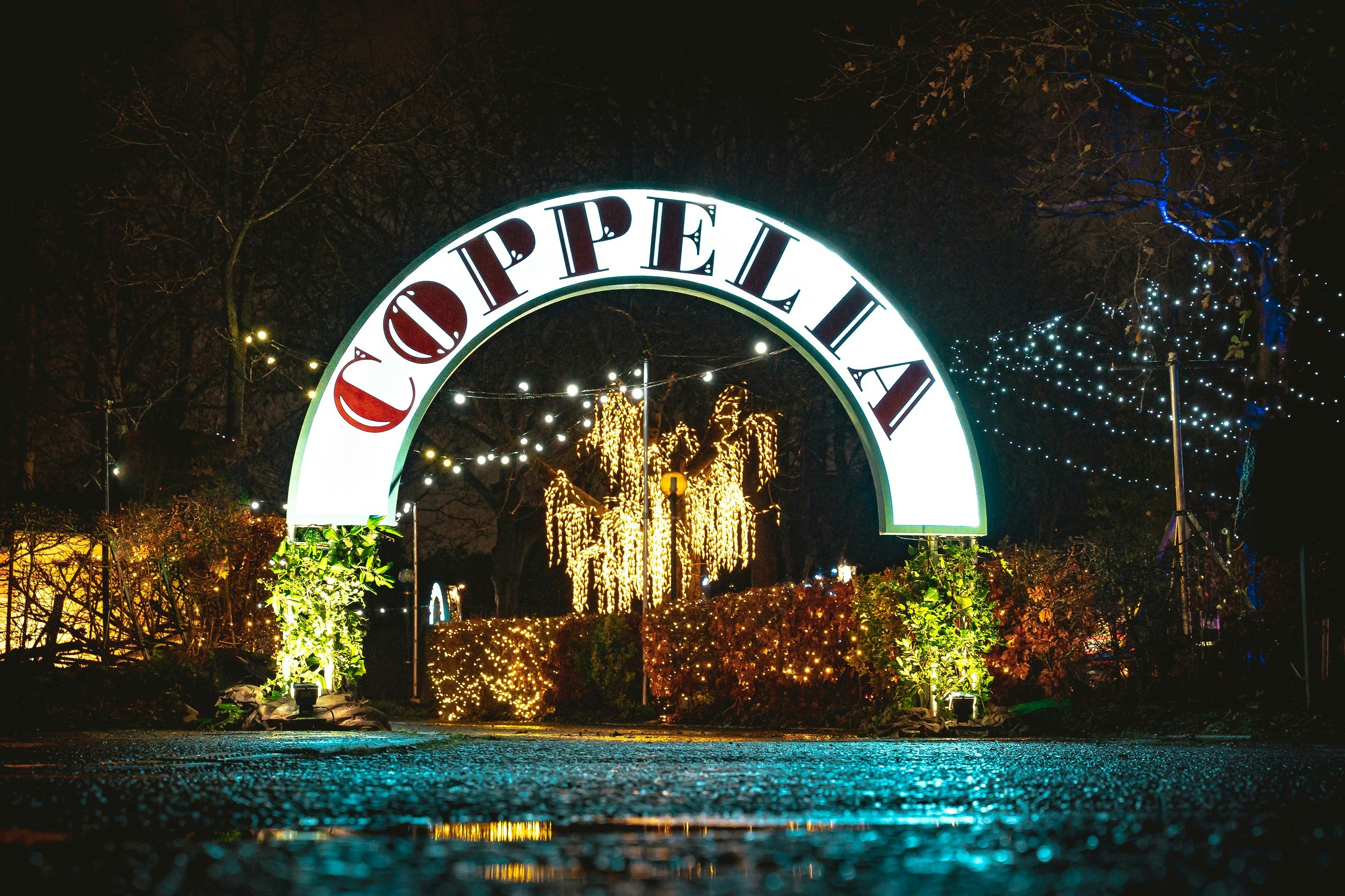 Basil Griffin Park Christmas Lights 2022 Shows Near Me | Ents24