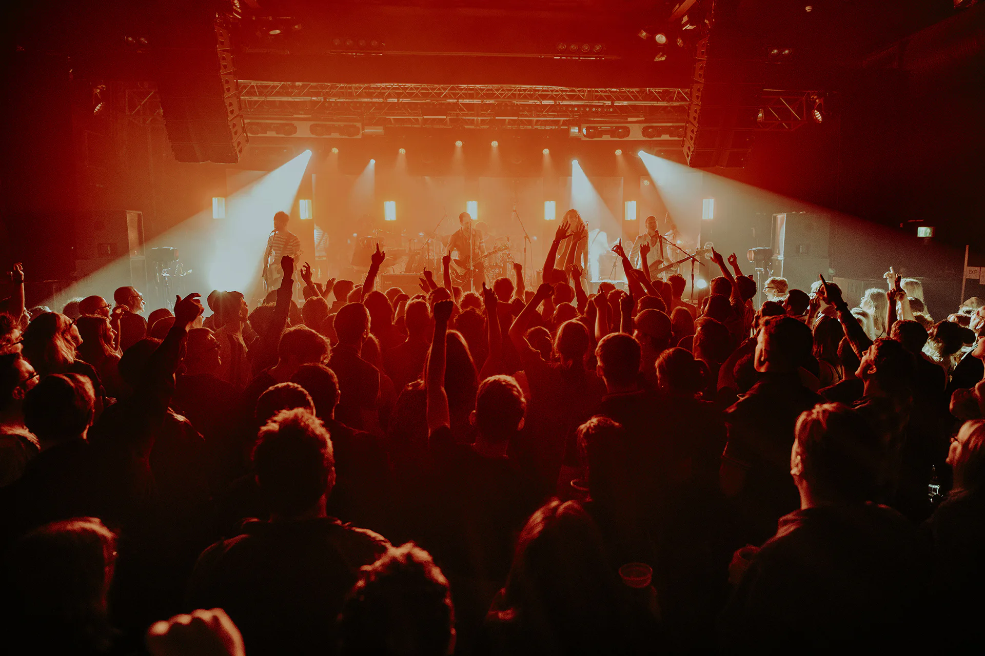 Picture of Arctic Numpties