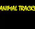 Animal Tracks appearing at this event