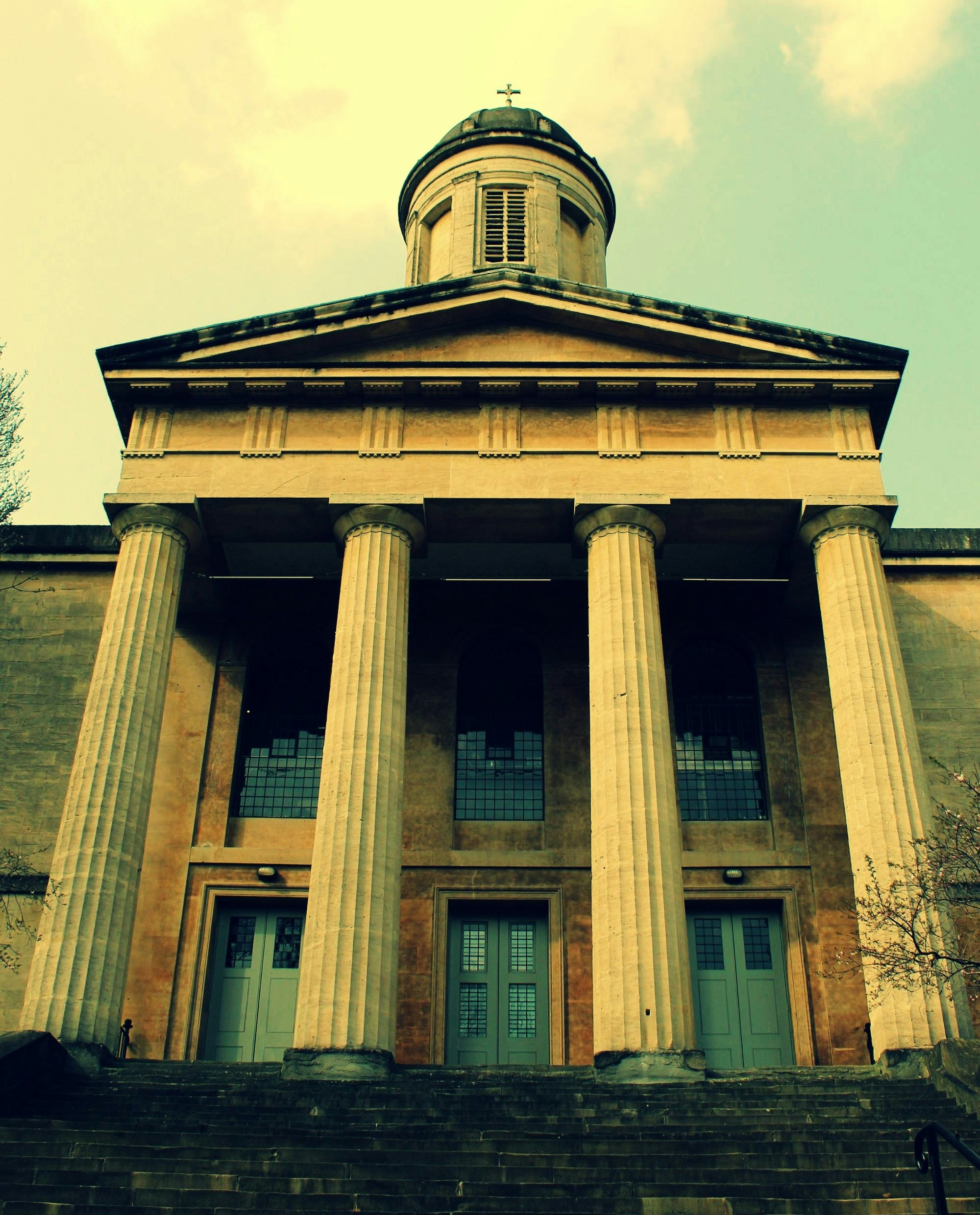 Nature Salon: Bees, Butterflies...