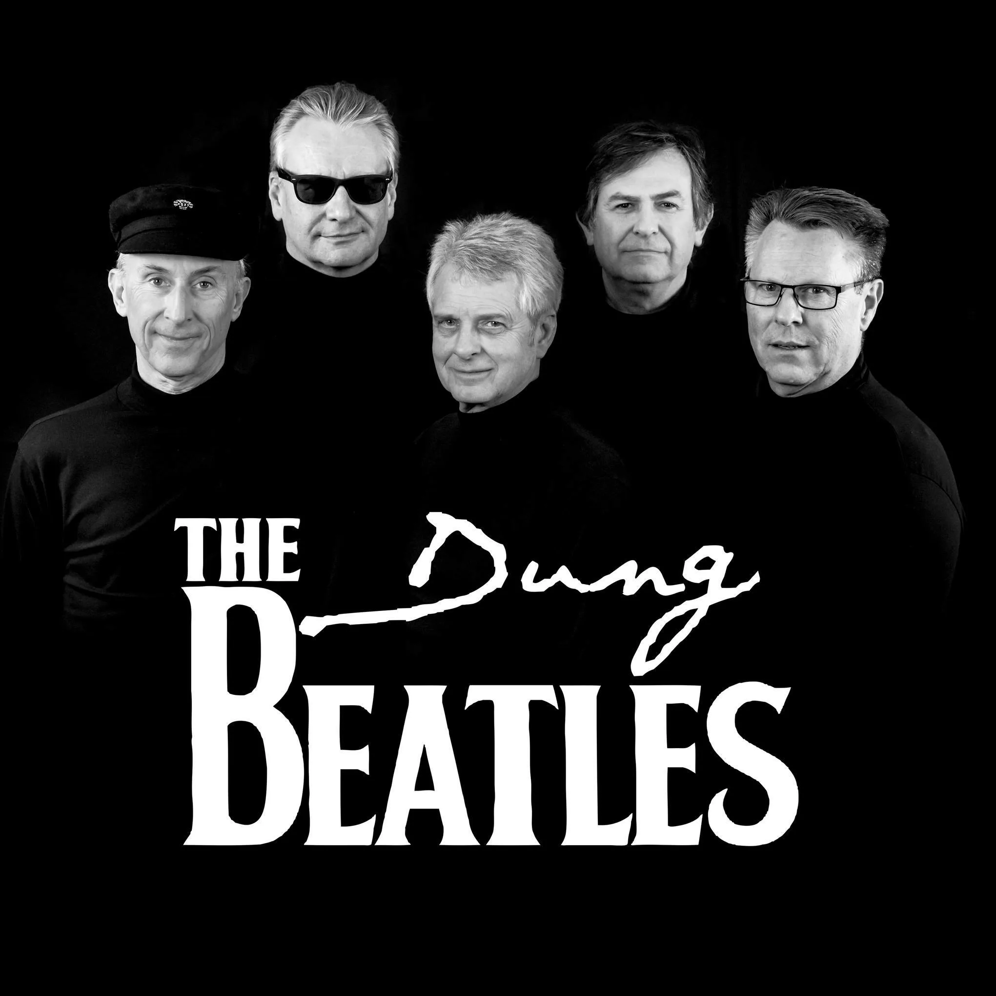 Picture of The Dung Beatles
