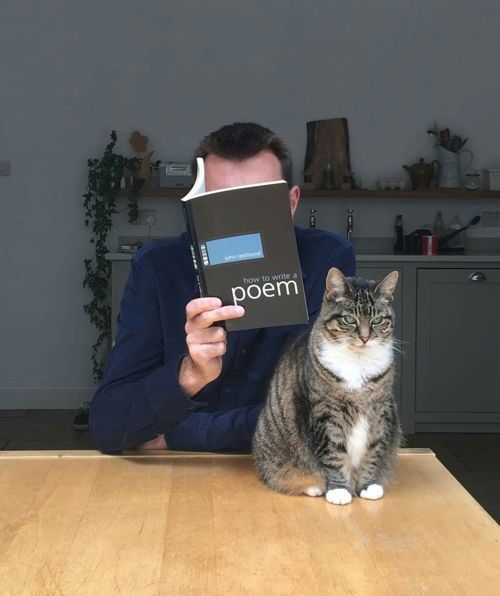 Brian Bilston - How To Lay An Egg With...