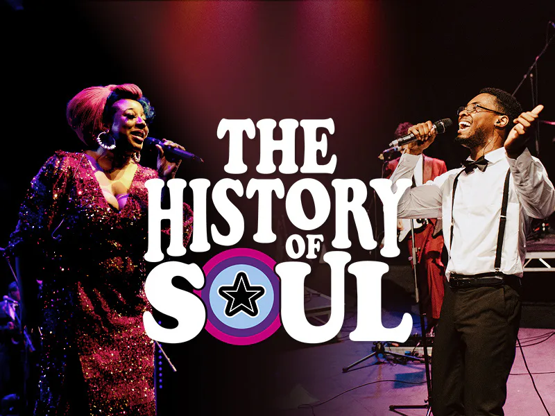 Picture of The History Of Soul