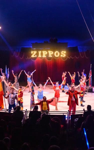 Zippos Circus: Rebound!