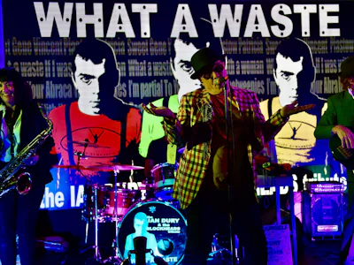 Picture of The Ian Dury & The Blockheads Tribute Band - What A Waste