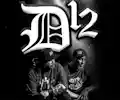 D-12 appearing at this event