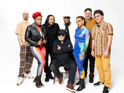 Picture of Incognito