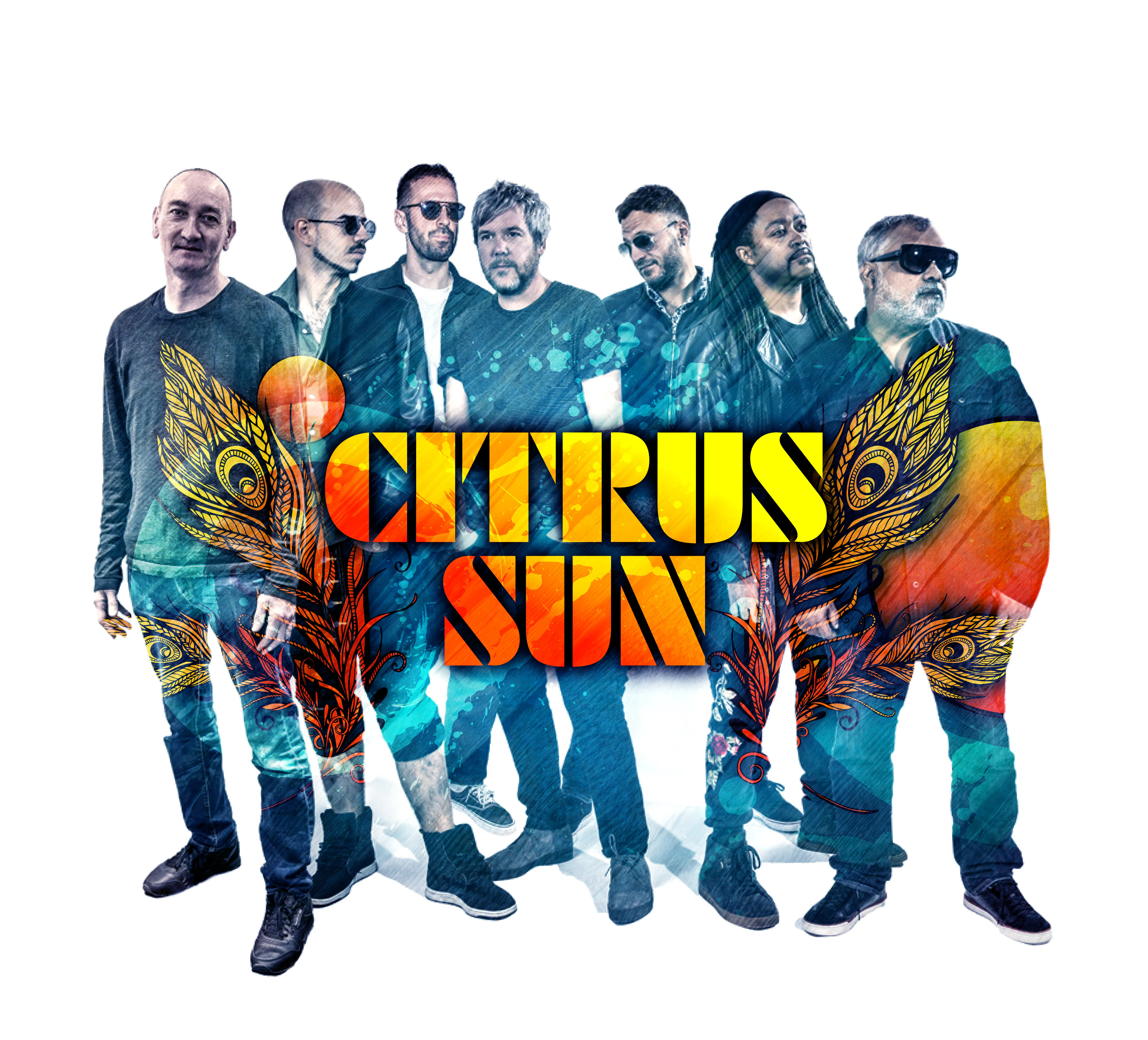 Picture of Citrus Sun