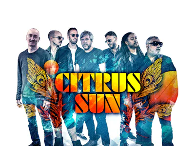 Picture of Citrus Sun